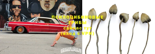 спиды Вязьма