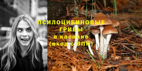 спиды Вязьма