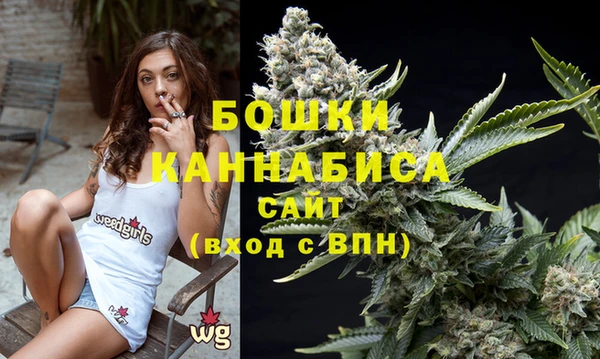 тгк Володарск